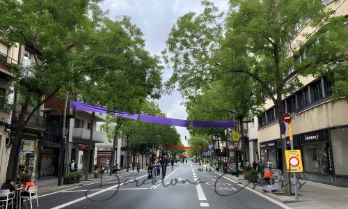 Carrer de Sants — La Arteria del Barrio (1)