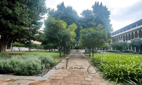 Pedralbes barcelona escorts (1)
